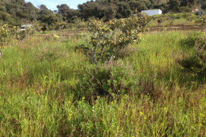 661ea84a93ed94156bde98a7efc026b8 - 10