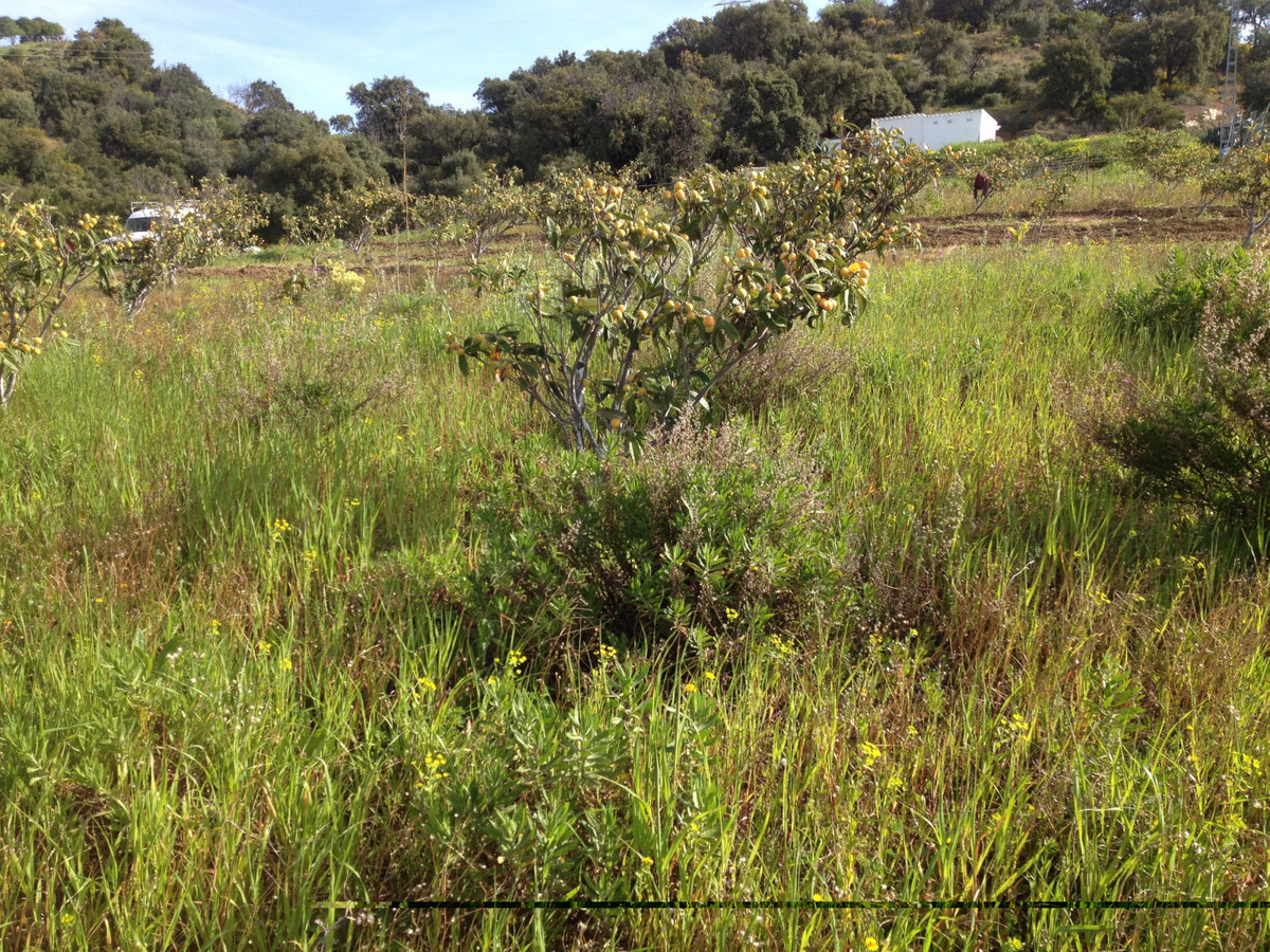 661ea84a93ed94156bde98a7efc026b8 - 10