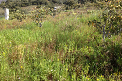 661ea84a93ed94156bde98a7efc026b8 - 11