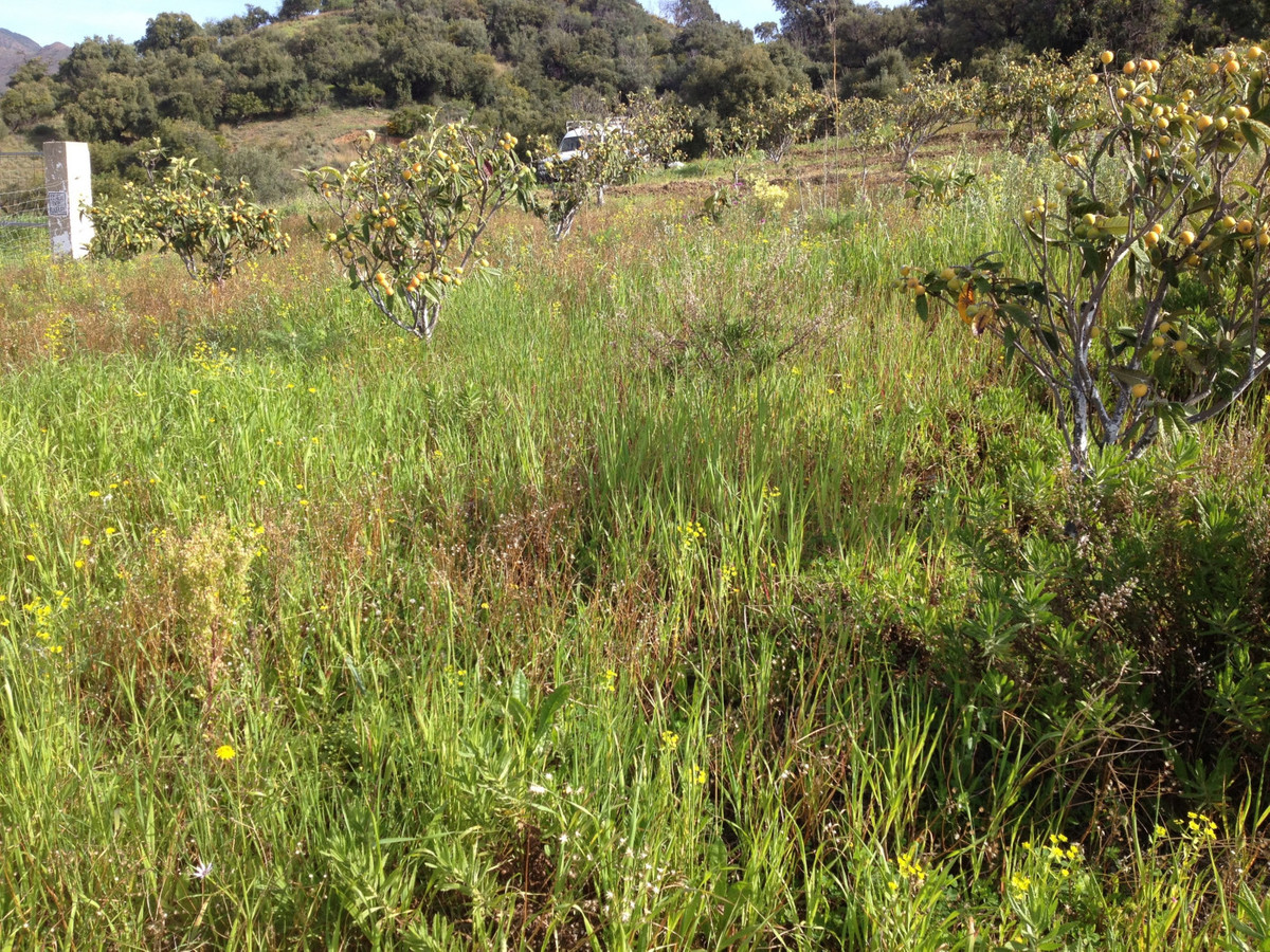 661ea84a93ed94156bde98a7efc026b8 - 11