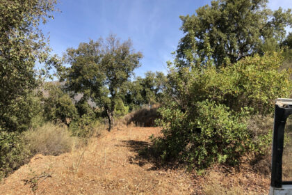 661ea84a93ed94156bde98a7efc026b8 - 12