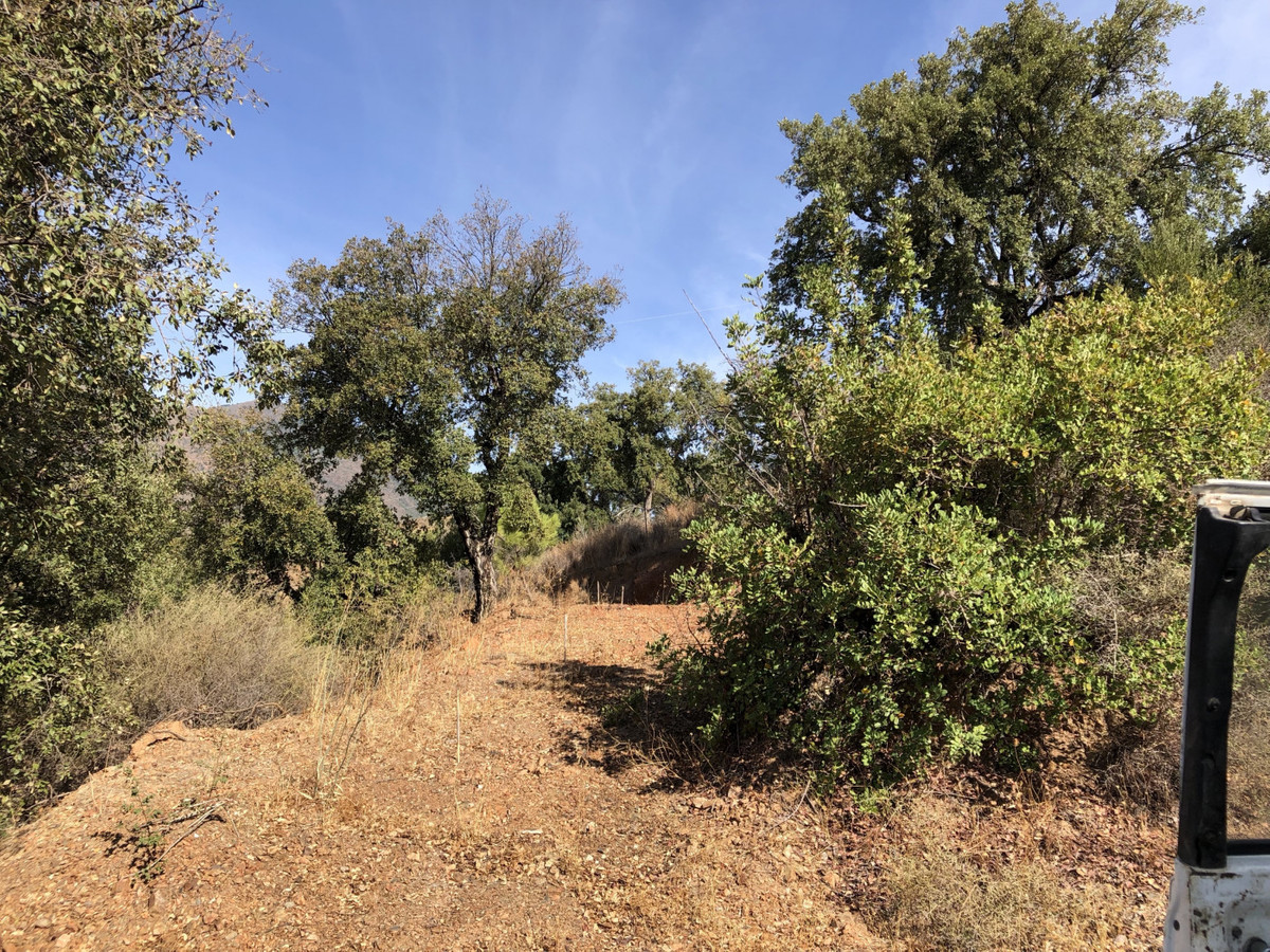 661ea84a93ed94156bde98a7efc026b8 - 12