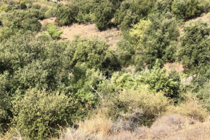 661ea84a93ed94156bde98a7efc026b8 - 14