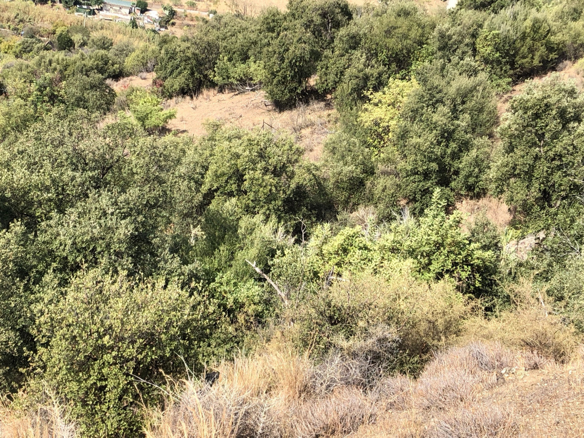 661ea84a93ed94156bde98a7efc026b8 - 14