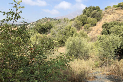 661ea84a93ed94156bde98a7efc026b8 - 16