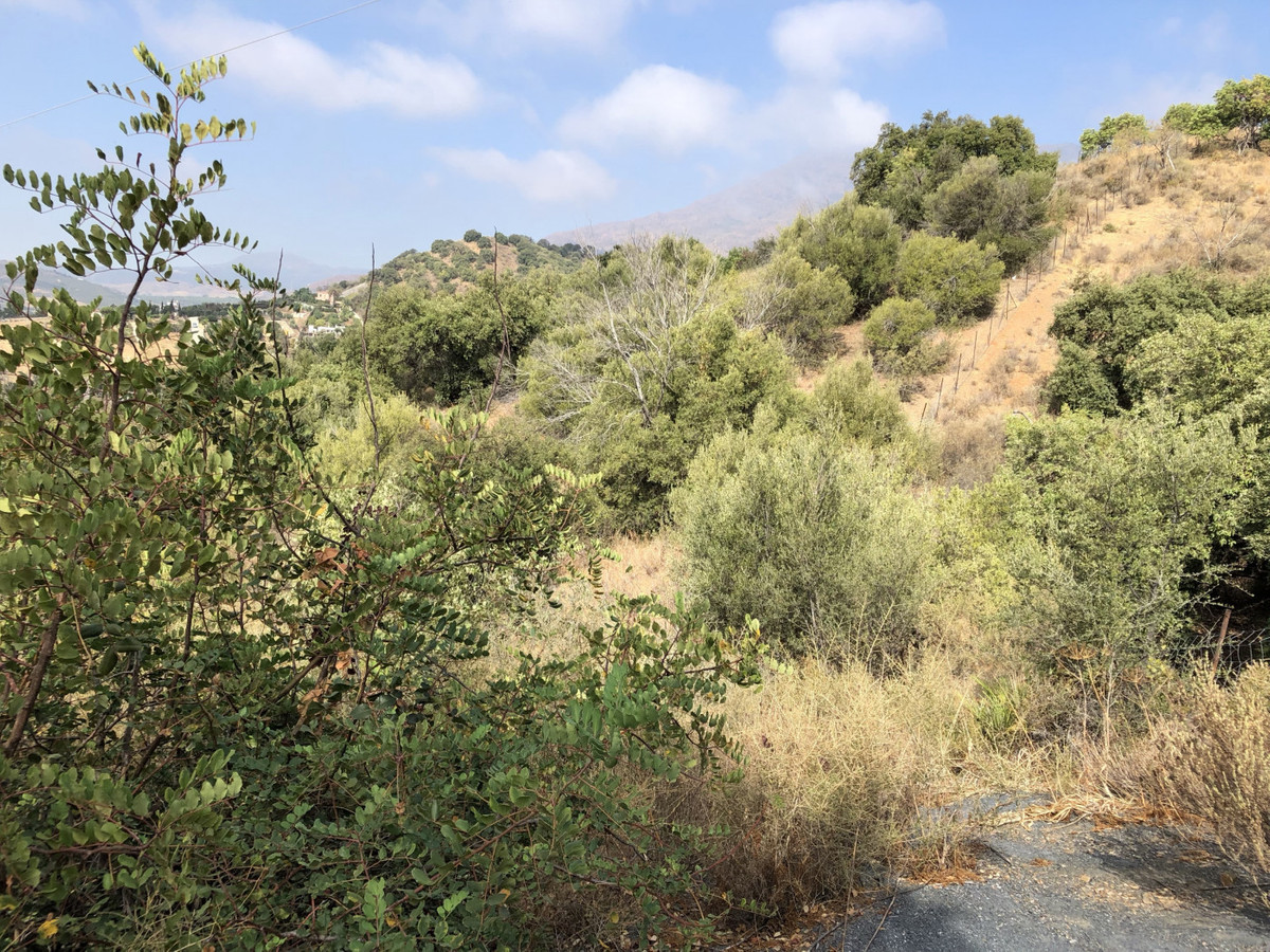 661ea84a93ed94156bde98a7efc026b8 - 16