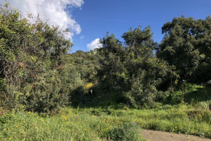 661ea84a93ed94156bde98a7efc026b8 - 17