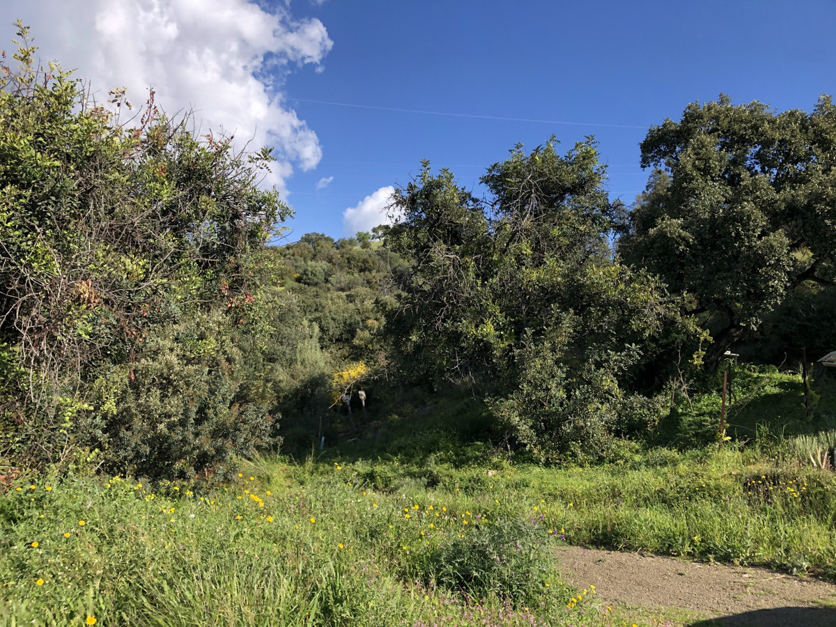 661ea84a93ed94156bde98a7efc026b8 - 17