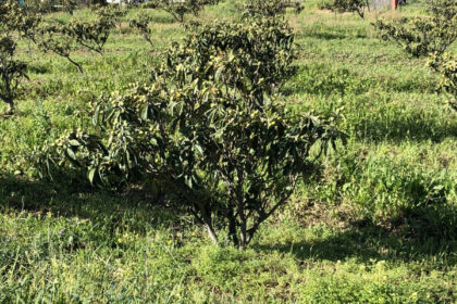 661ea84a93ed94156bde98a7efc026b8 - 18