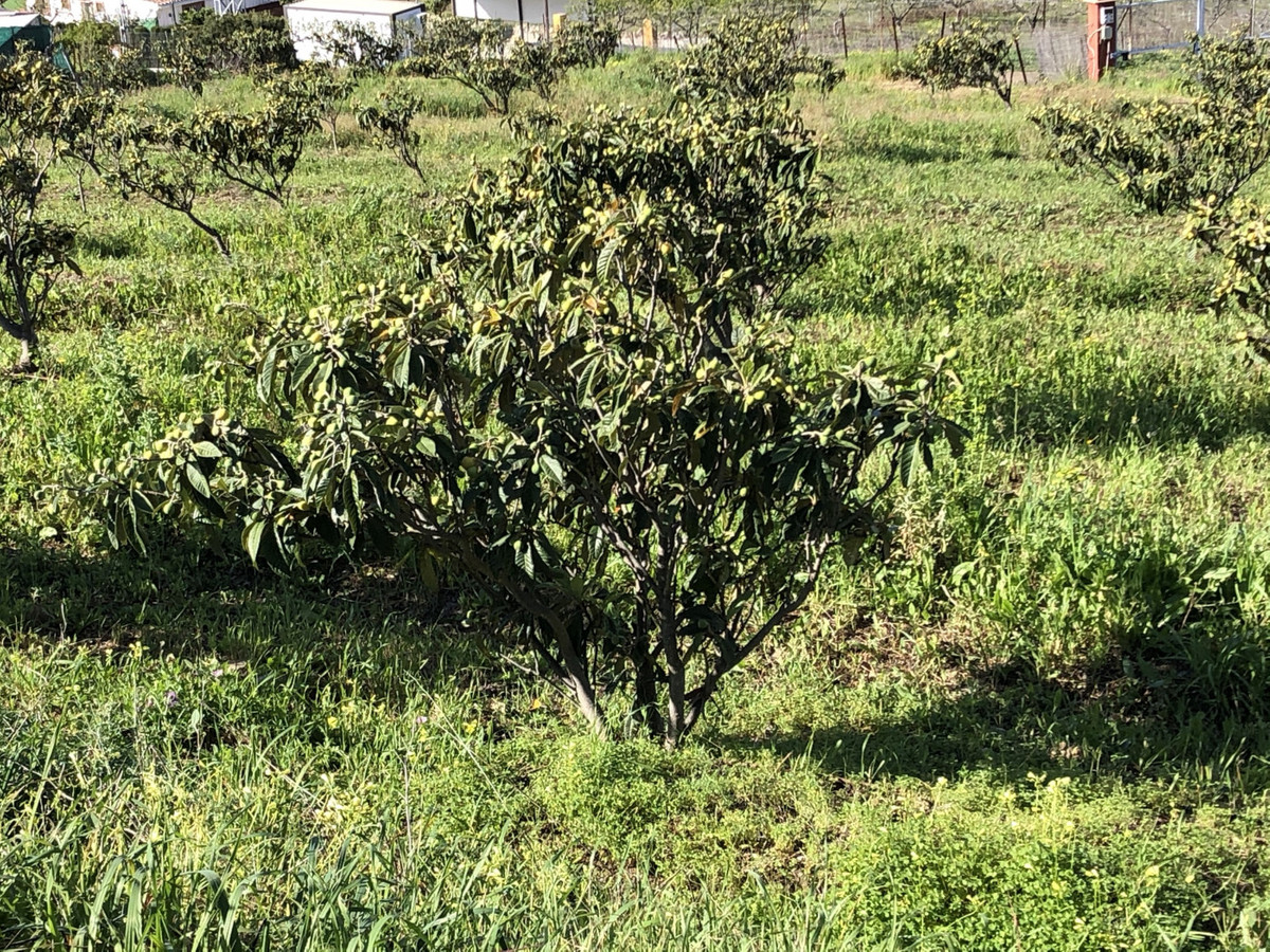 661ea84a93ed94156bde98a7efc026b8 - 18