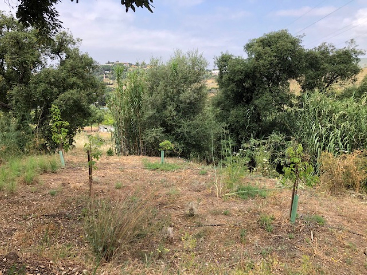 661ea84a93ed94156bde98a7efc026b8 - 19