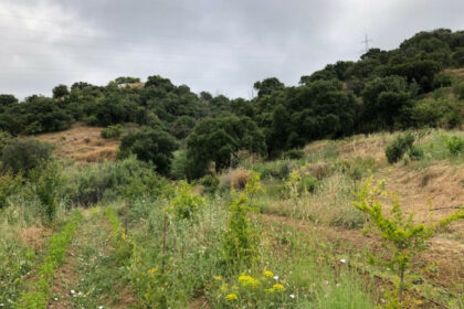 661ea84a93ed94156bde98a7efc026b8 - 20