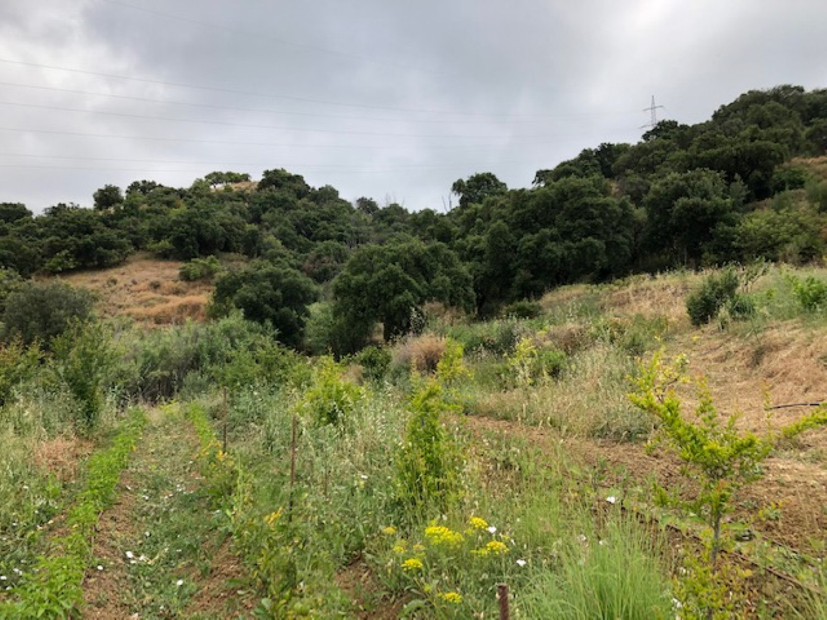 661ea84a93ed94156bde98a7efc026b8 - 20