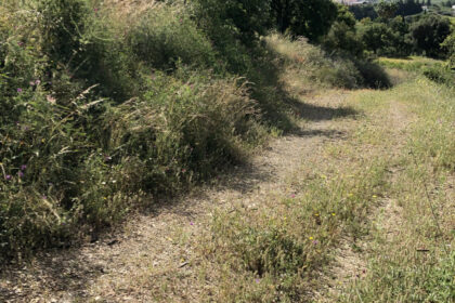 661ea84a93ed94156bde98a7efc026b8 - 21