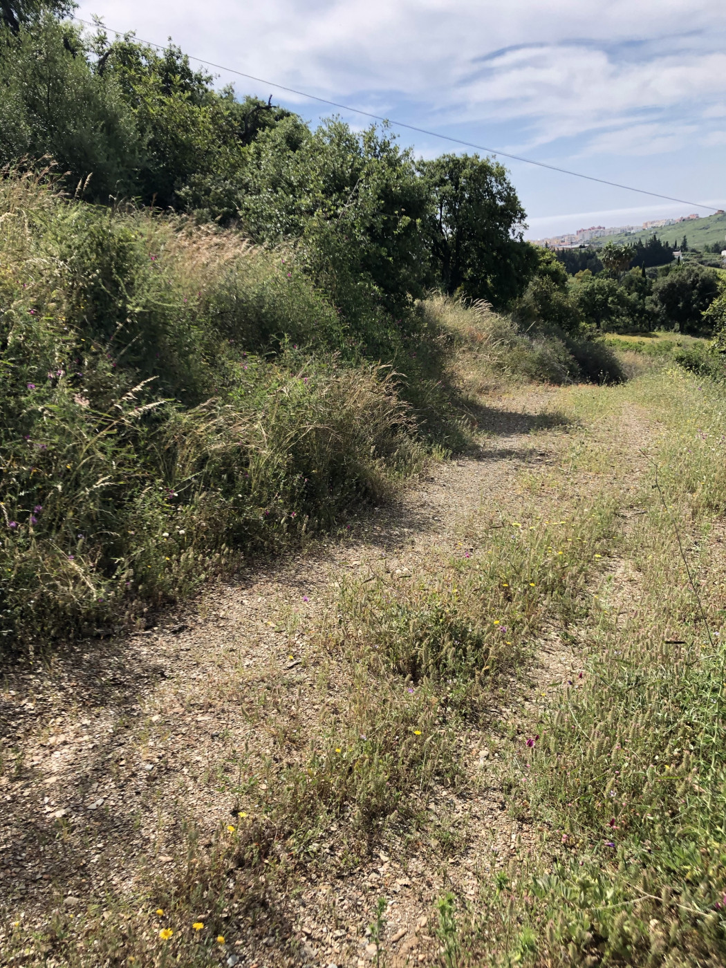 661ea84a93ed94156bde98a7efc026b8 - 21