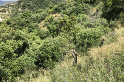 661ea84a93ed94156bde98a7efc026b8 - 23