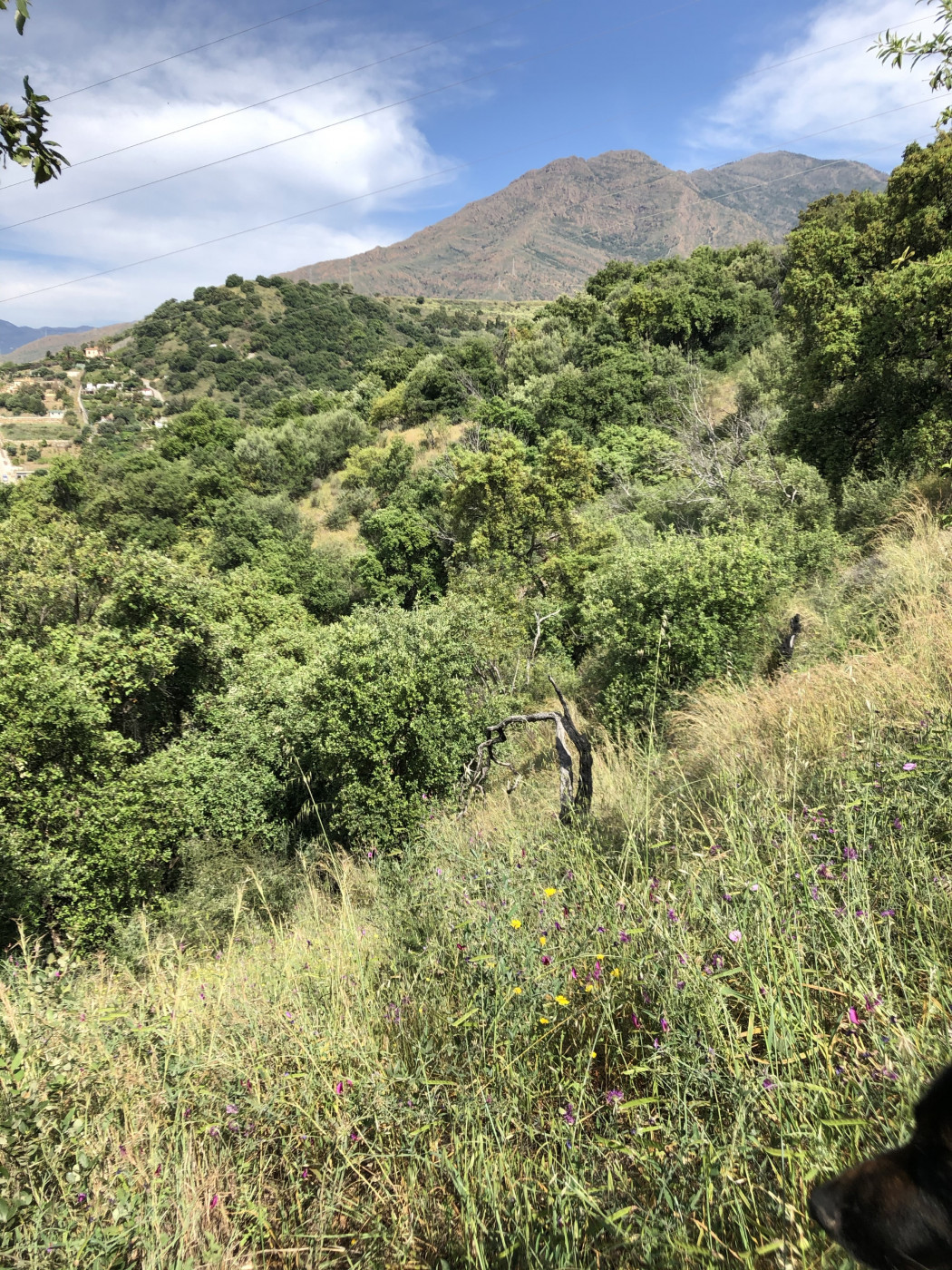 661ea84a93ed94156bde98a7efc026b8 - 23