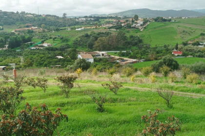 661ea84a93ed94156bde98a7efc026b8 - 7