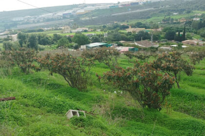 661ea84a93ed94156bde98a7efc026b8 - 8