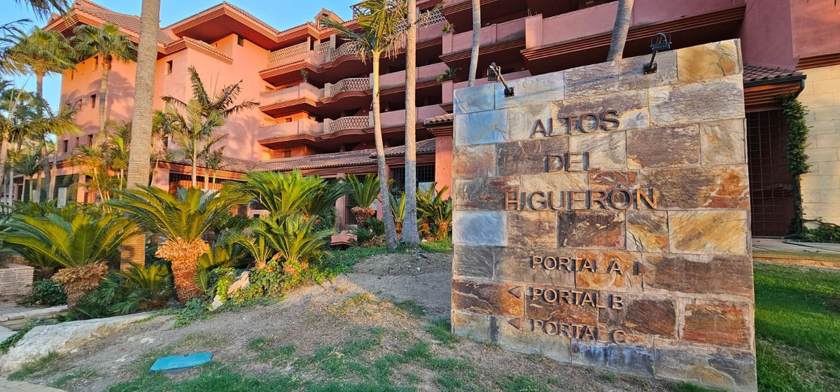 747de4a2eb1c1f4bb7b0632aa3813f5e - 31