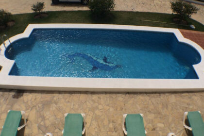 77fdfd9cdb8e303532617cec73e04f92 - 3