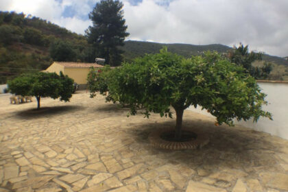 77fdfd9cdb8e303532617cec73e04f92 - 4