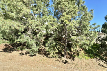 87a6d88d8ef5876a38117d68d7b1d8bd - 31