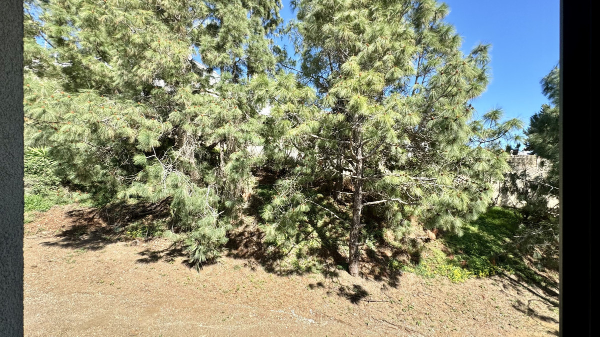 87a6d88d8ef5876a38117d68d7b1d8bd - 31