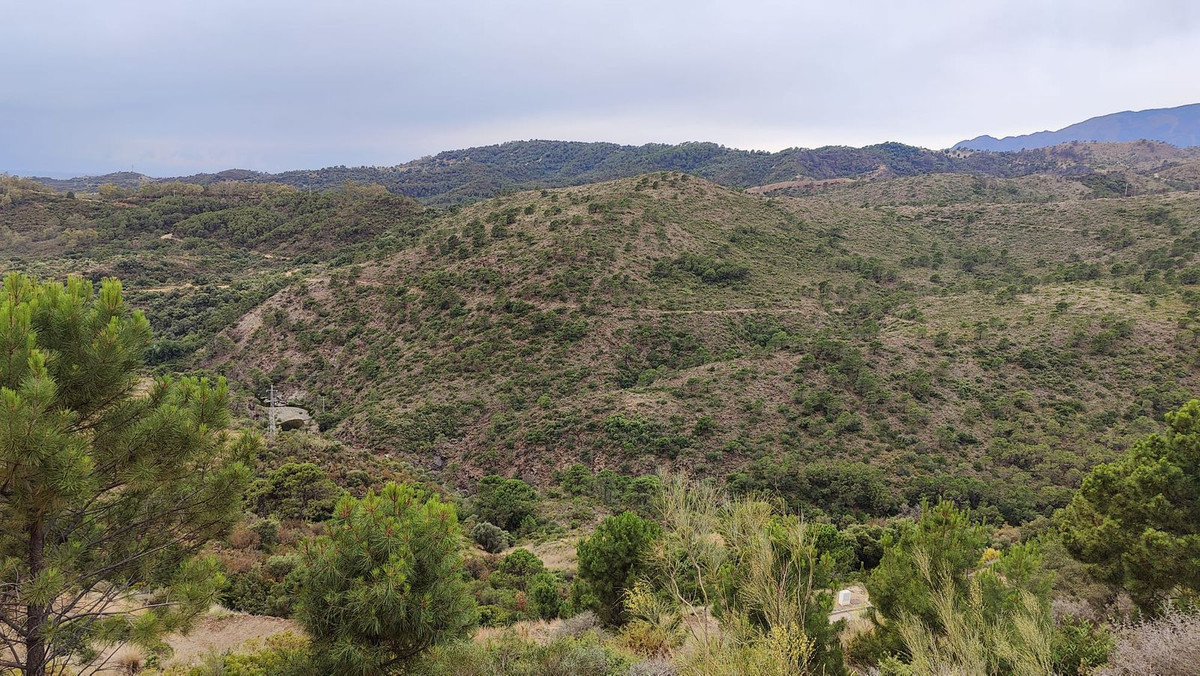 8819ffa6be603b2f2dfb0bfbb267da88 - 11