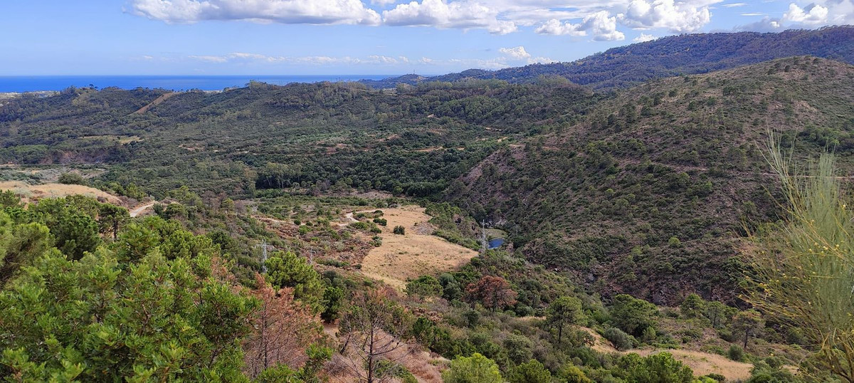 8819ffa6be603b2f2dfb0bfbb267da88 - 15