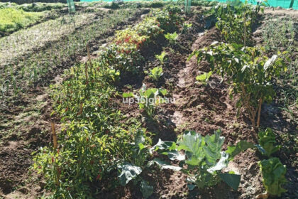 8b02c1cd095ed7190d39451eb38162cc - 40