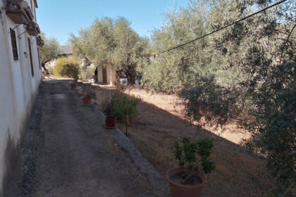 91d4d201649c0c0c9bc1126619d42ab9 - 49