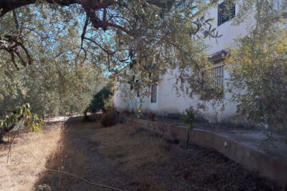 91d4d201649c0c0c9bc1126619d42ab9 - 55