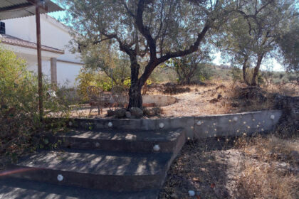 91d4d201649c0c0c9bc1126619d42ab9 - 56