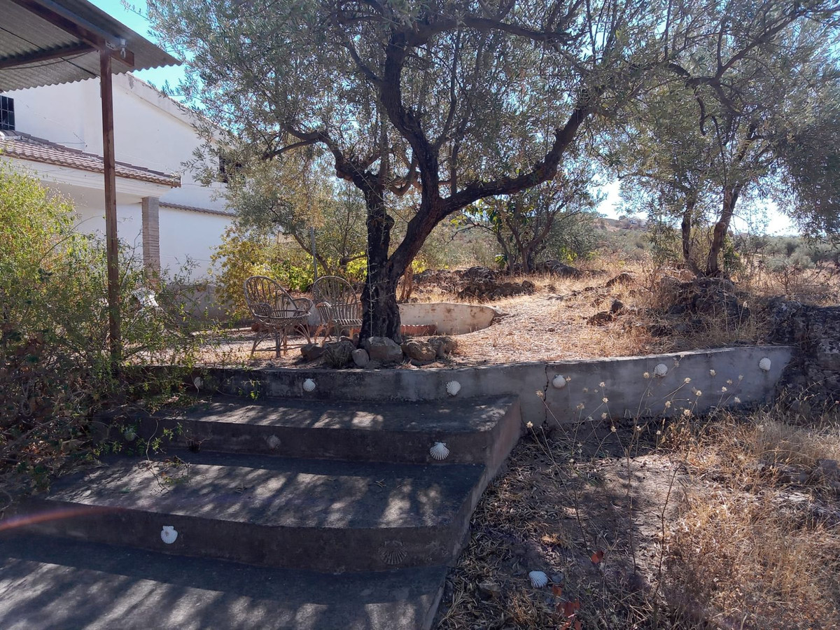 91d4d201649c0c0c9bc1126619d42ab9 - 56