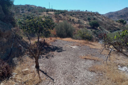 91d4d201649c0c0c9bc1126619d42ab9 - 57