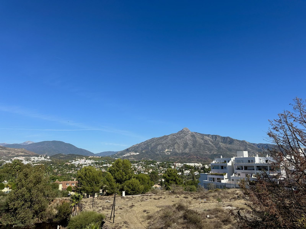 a7334aa68825c634ecd201acc5427a98 - 24