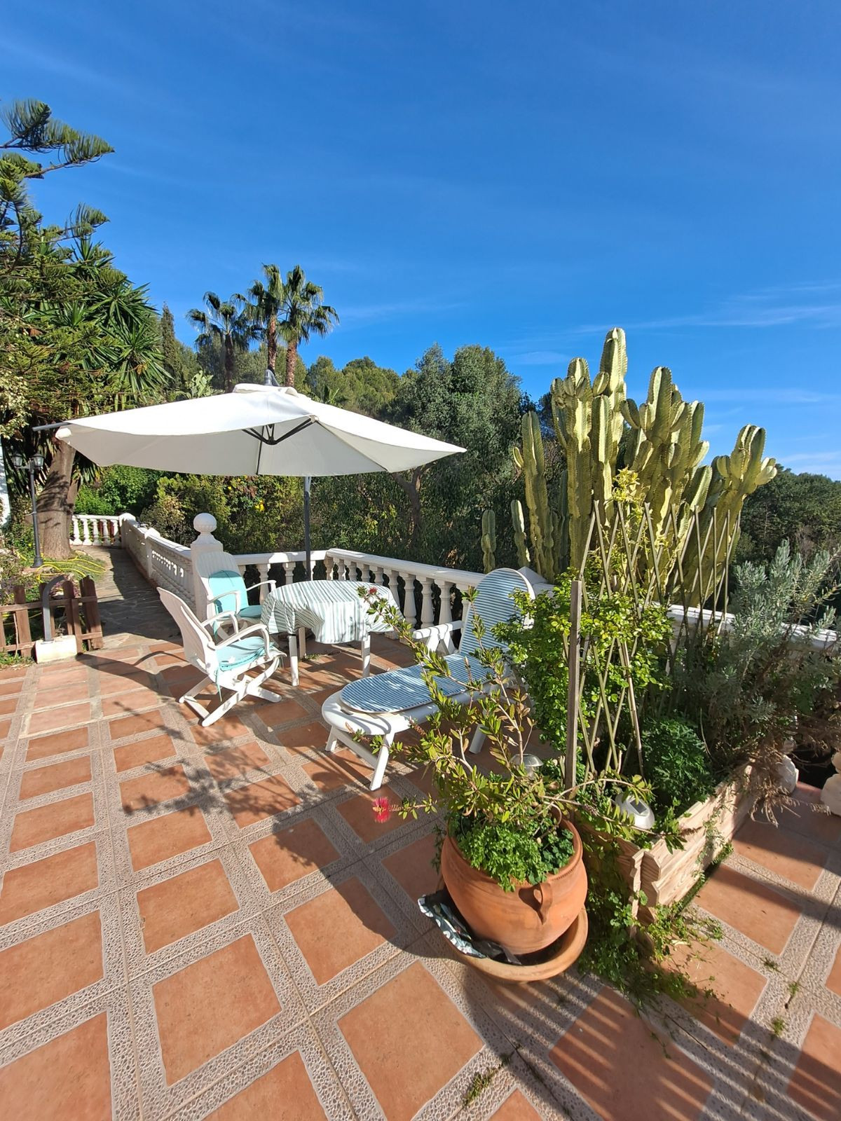 a843f9b138b966d516616012ea9a0dfc - 14