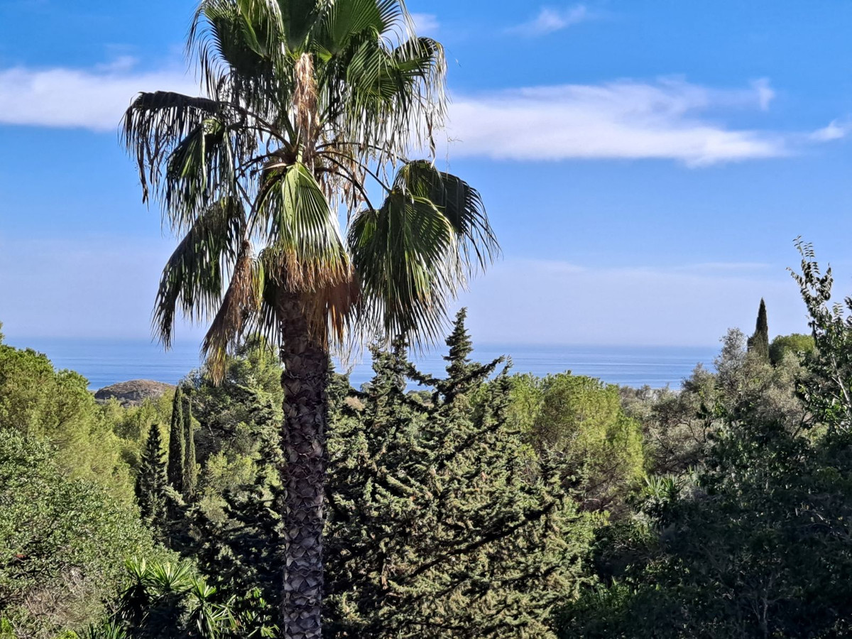 a843f9b138b966d516616012ea9a0dfc - 15