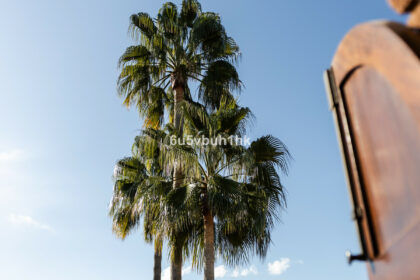 a85824ae245ee659db6a28d91d55fe10 - 25