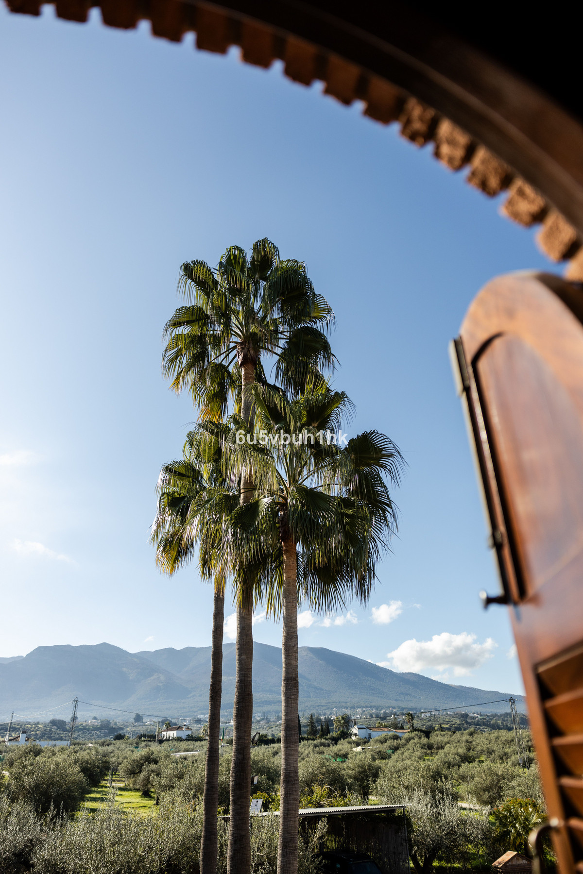 a85824ae245ee659db6a28d91d55fe10 - 25