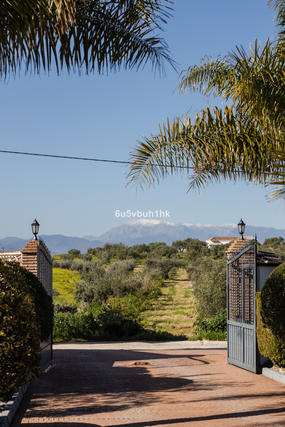 a85824ae245ee659db6a28d91d55fe10 - 37