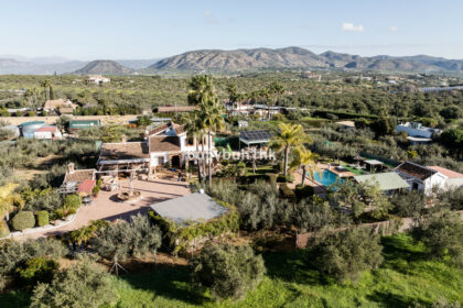 a85824ae245ee659db6a28d91d55fe10 - 42