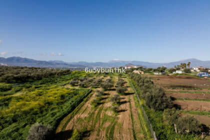 a85824ae245ee659db6a28d91d55fe10 - 44