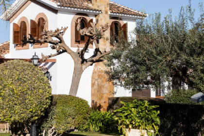 a85824ae245ee659db6a28d91d55fe10 - 5