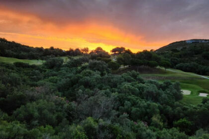 b68c567261645529f1b61c7234a0d8be - 65