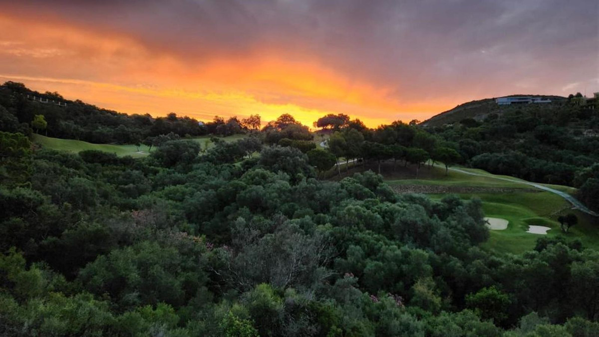 b68c567261645529f1b61c7234a0d8be - 65