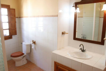 baf4c13207d292e3b02247d82154ab8e - 21