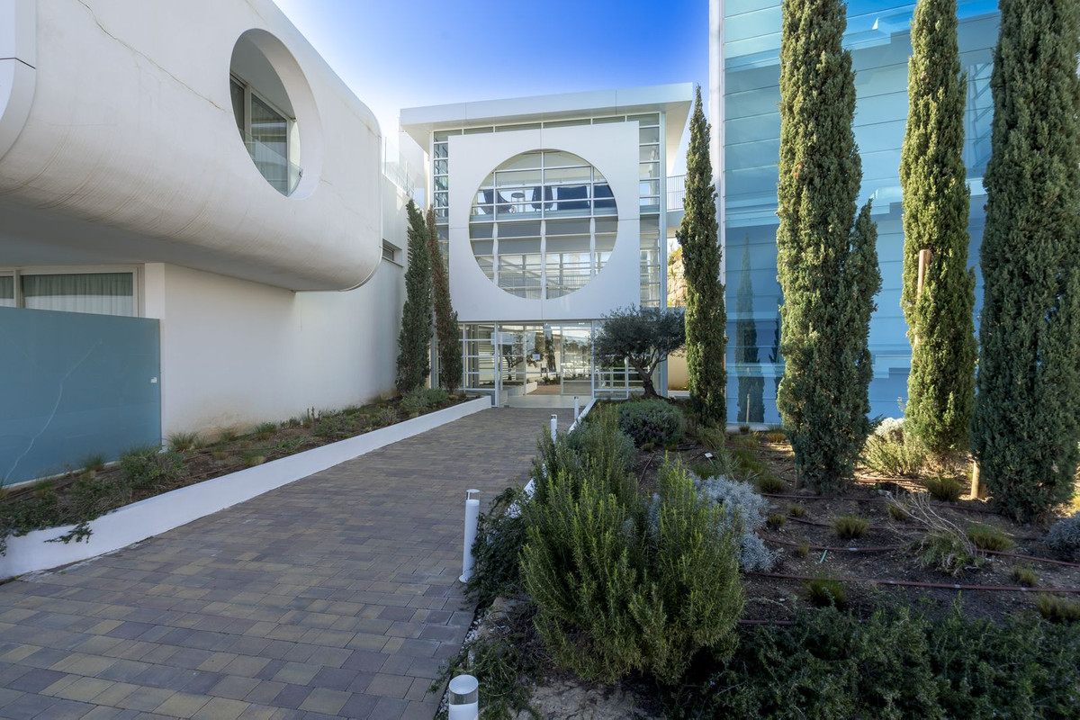 bcb5e0717e9ca0ec978cadf7895d5efa - 31