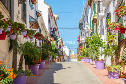 c64c4cd0667cd879c082b5ca66dc0be8 - 24